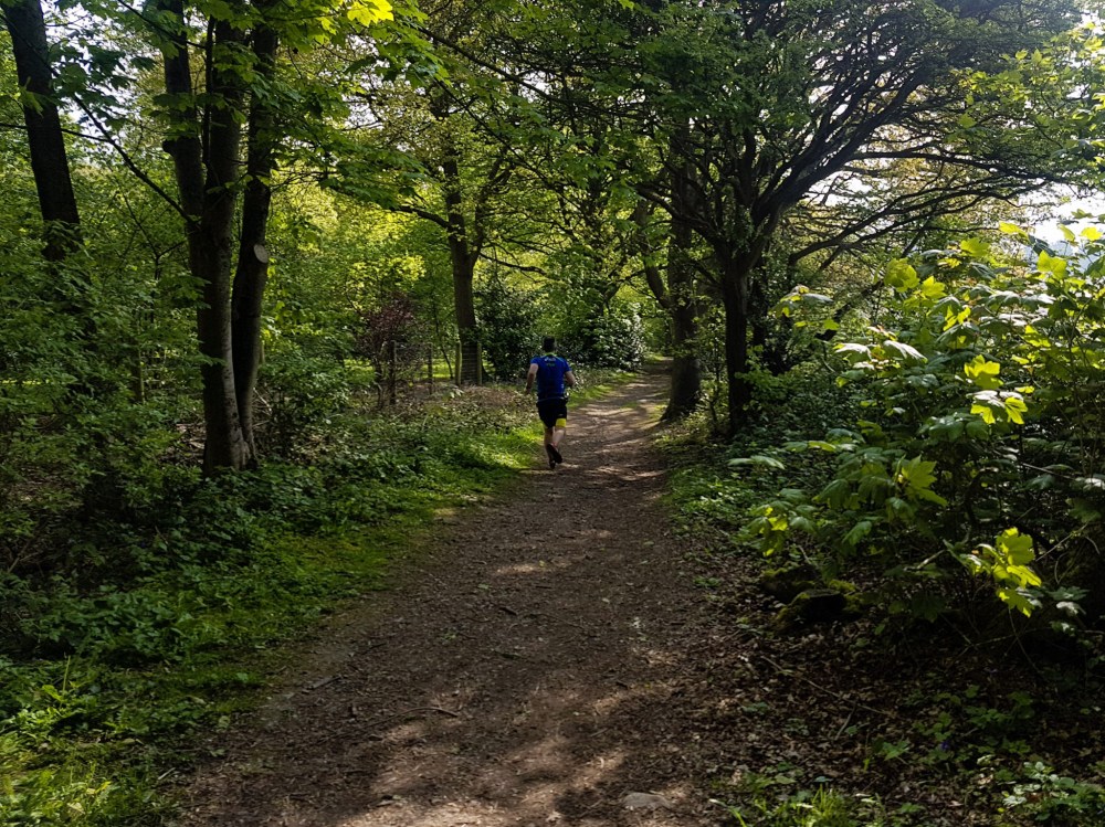 LRM_EXPORT_20170509_124332